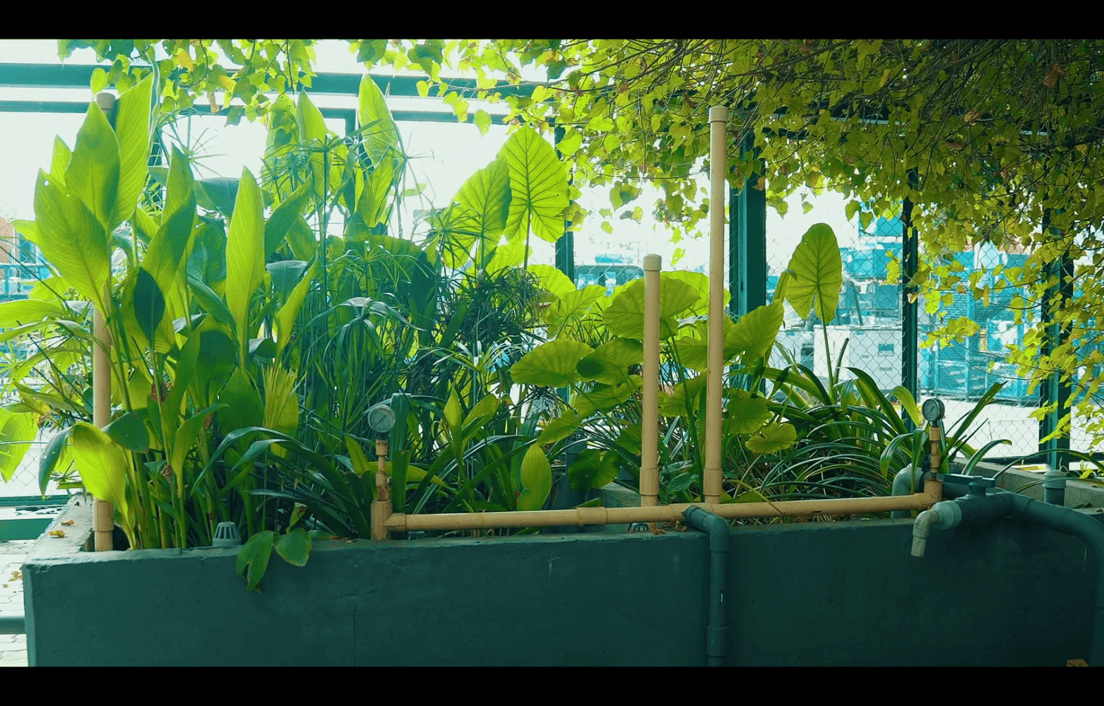 Circular Economy Practices