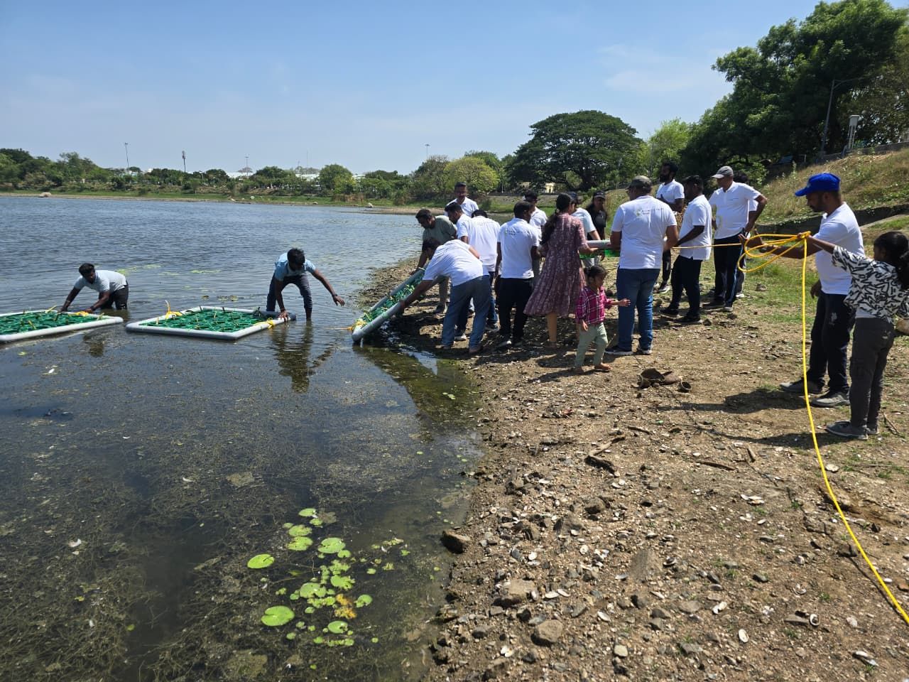 Social Month - . Floating Islands for Wetland Restoration