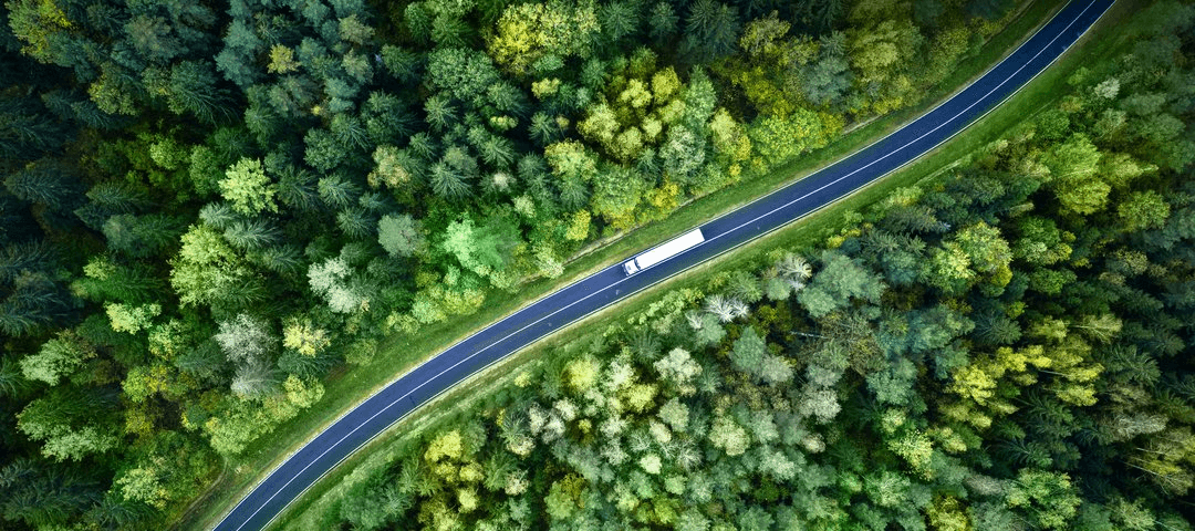 A Plant That Breathes Green