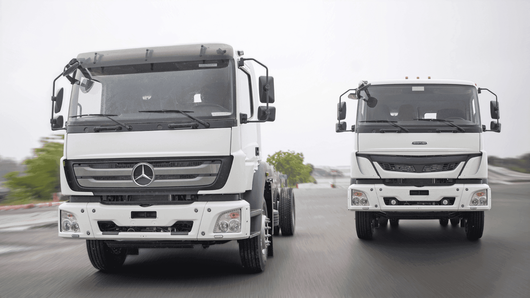 From India to the World